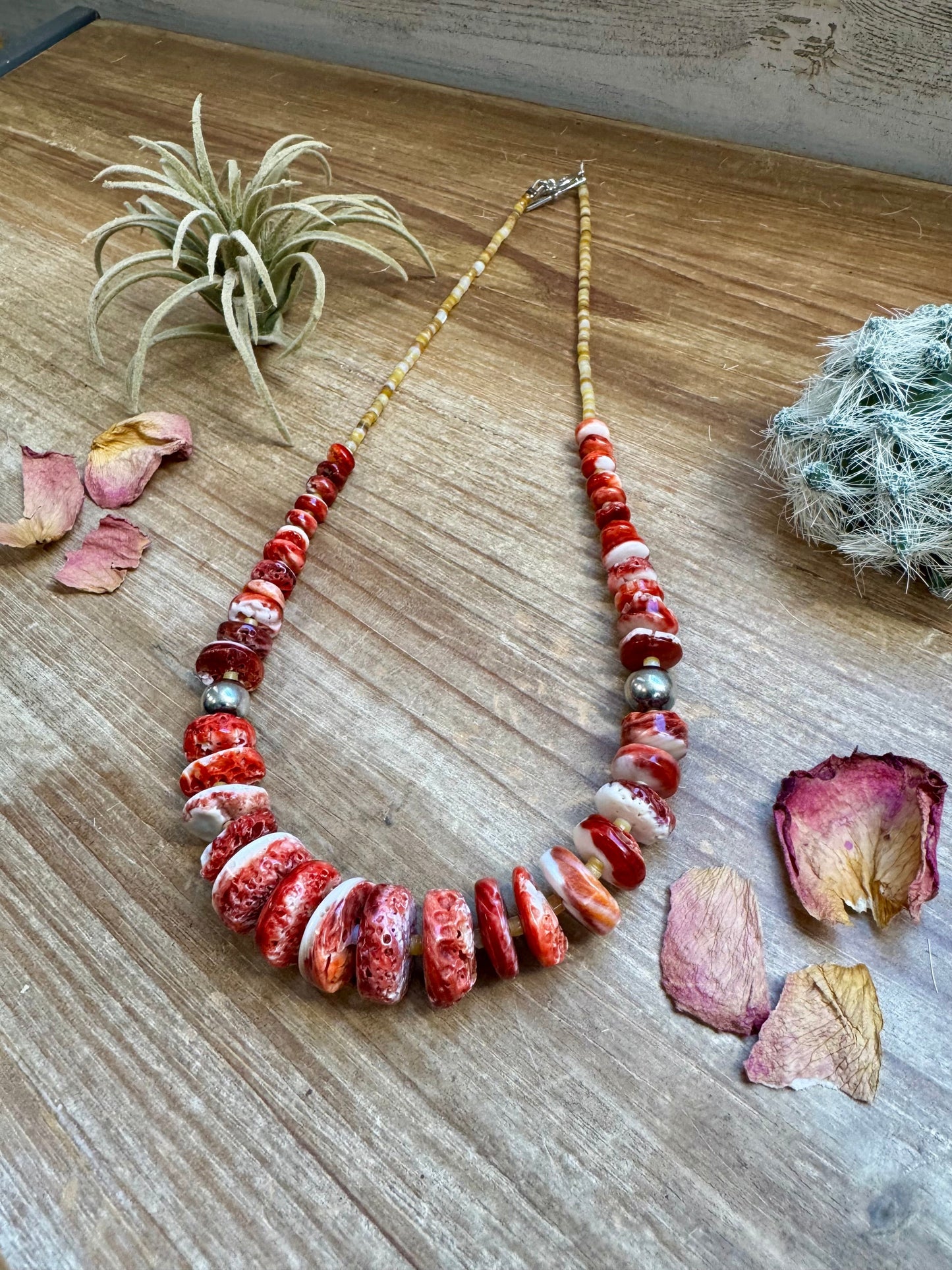 22 Inch red spiny and sterling silver pearls