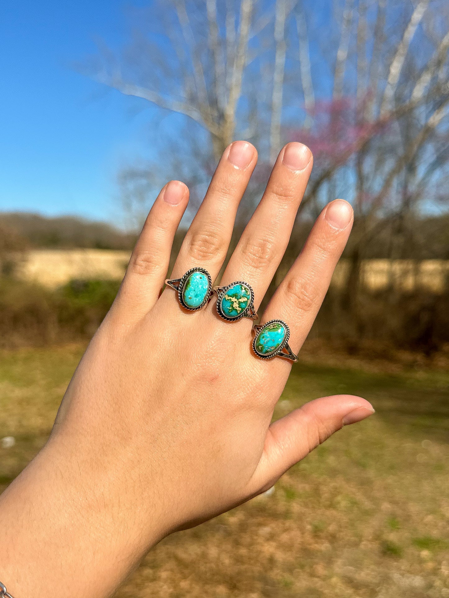 Sonoran Gold Ring